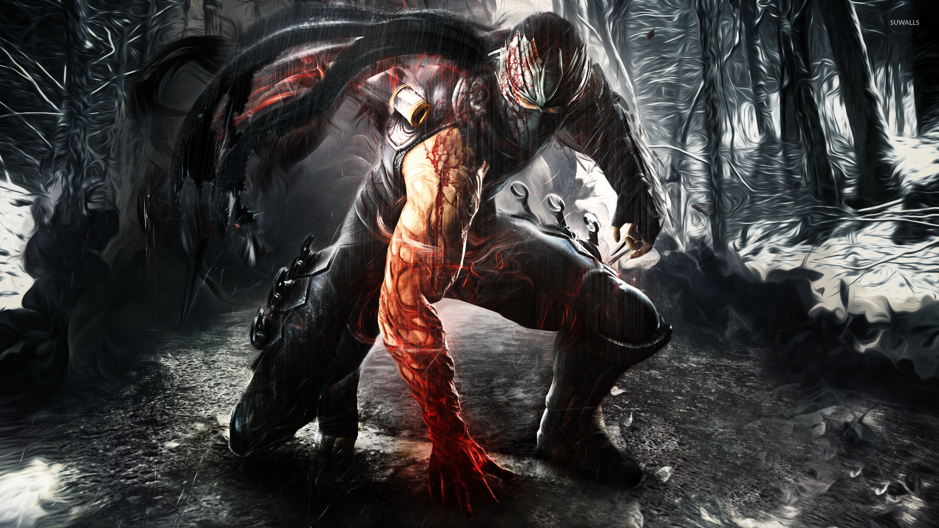 Ninja Gaiden 3 [2] wallpaper