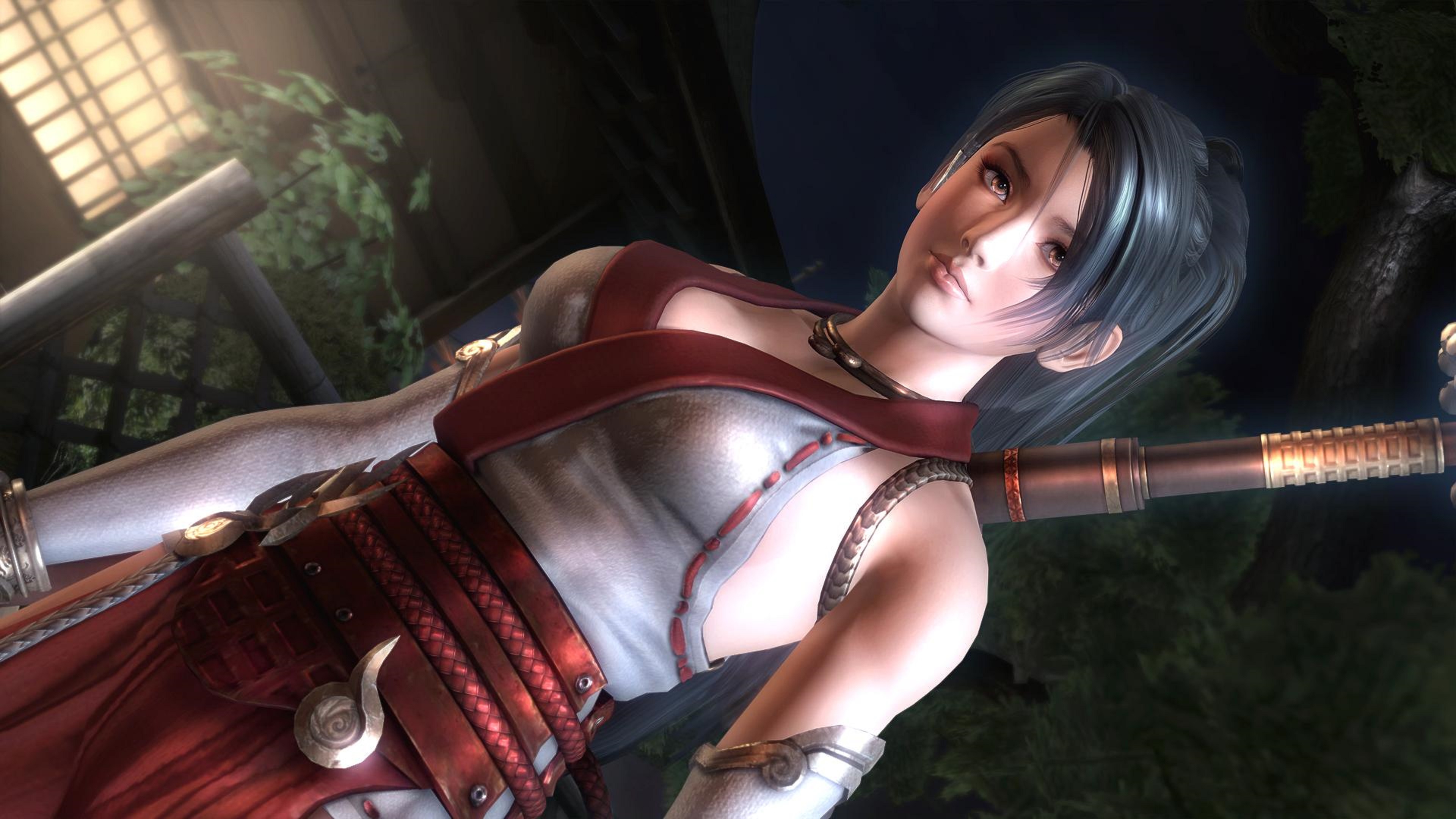 Video Game Ninja Gaiden Sigma