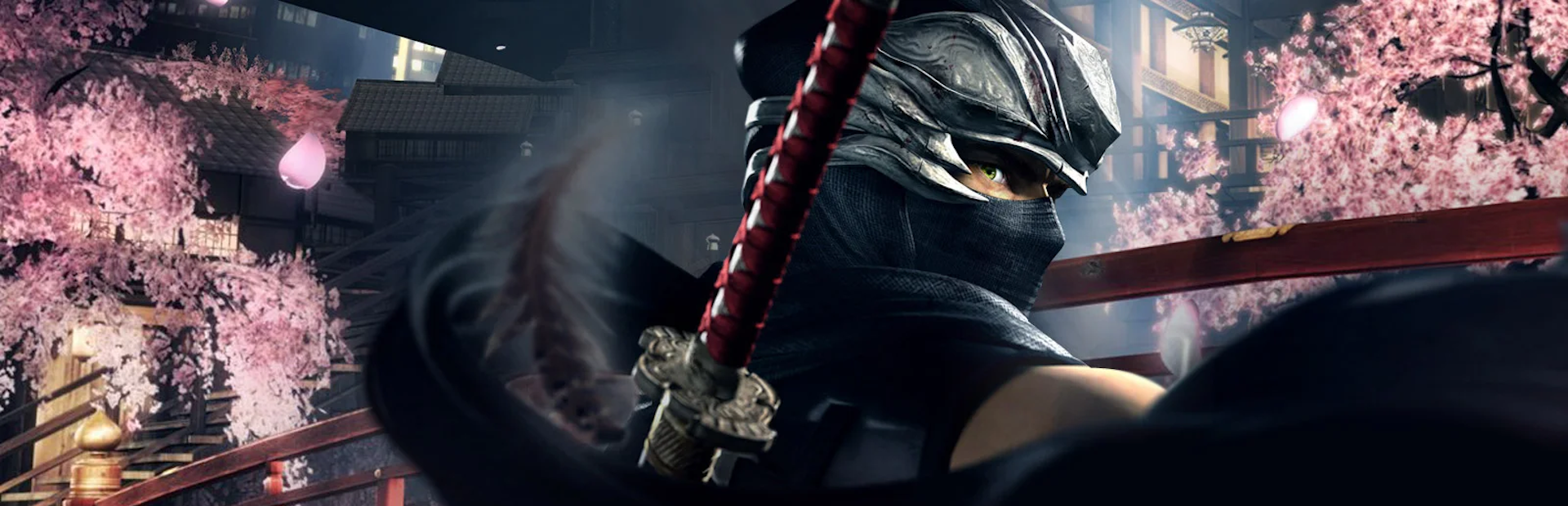 NINJA GAIDEN: Master Collection NINJA