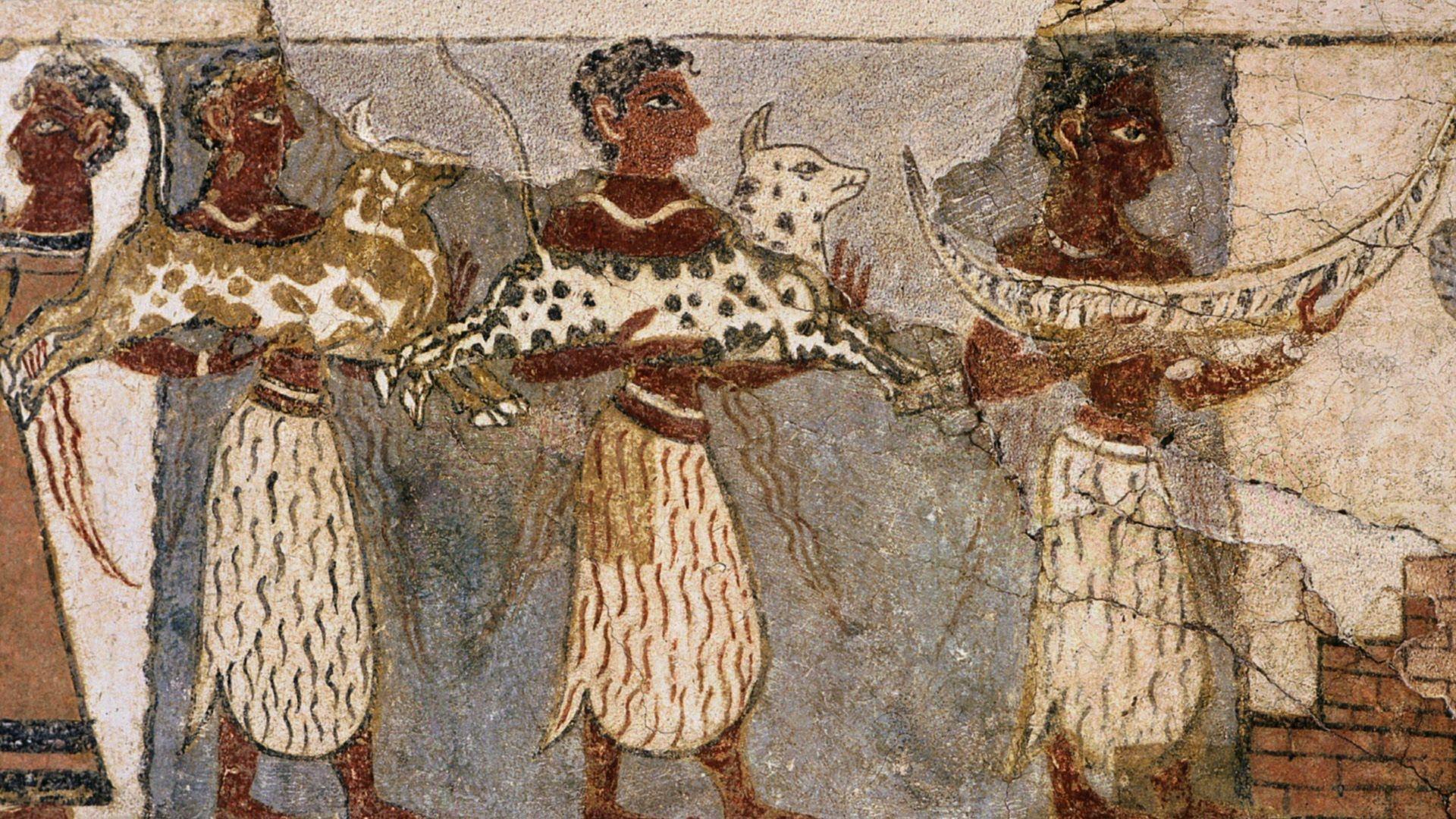 The Minoan Legacy. The Greeks. PBS