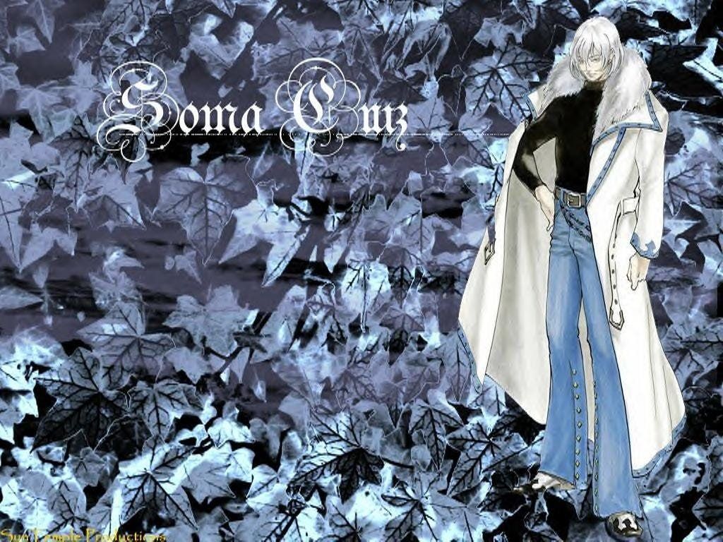 HD wallpaper: Castlevania, Castlevania