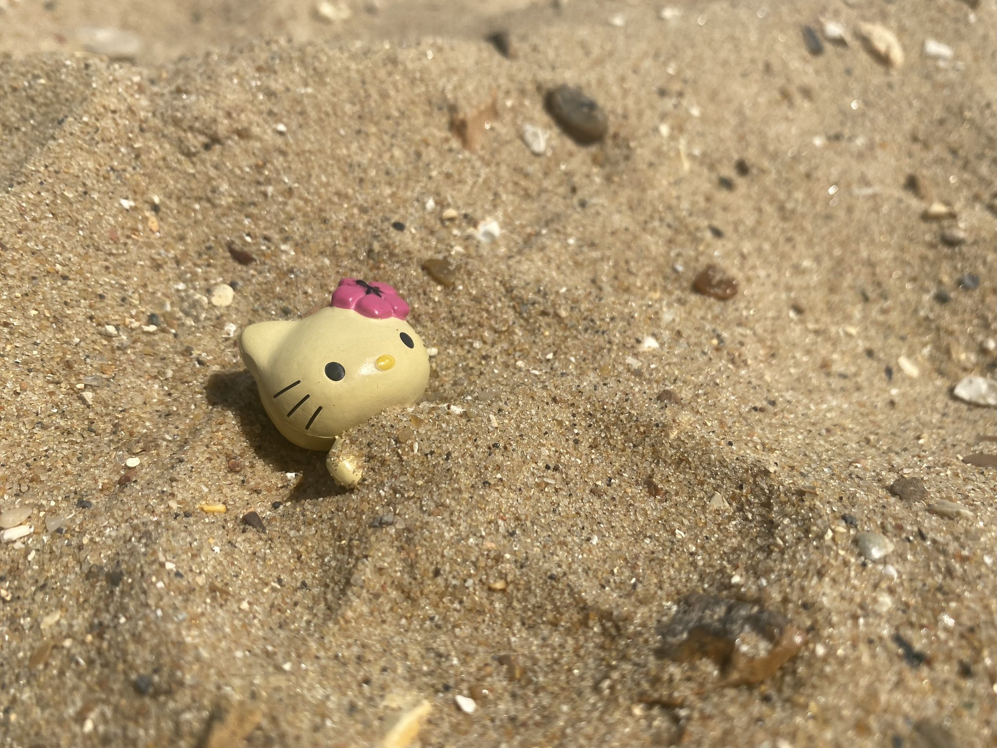 sanrio daily ✨ kitty at