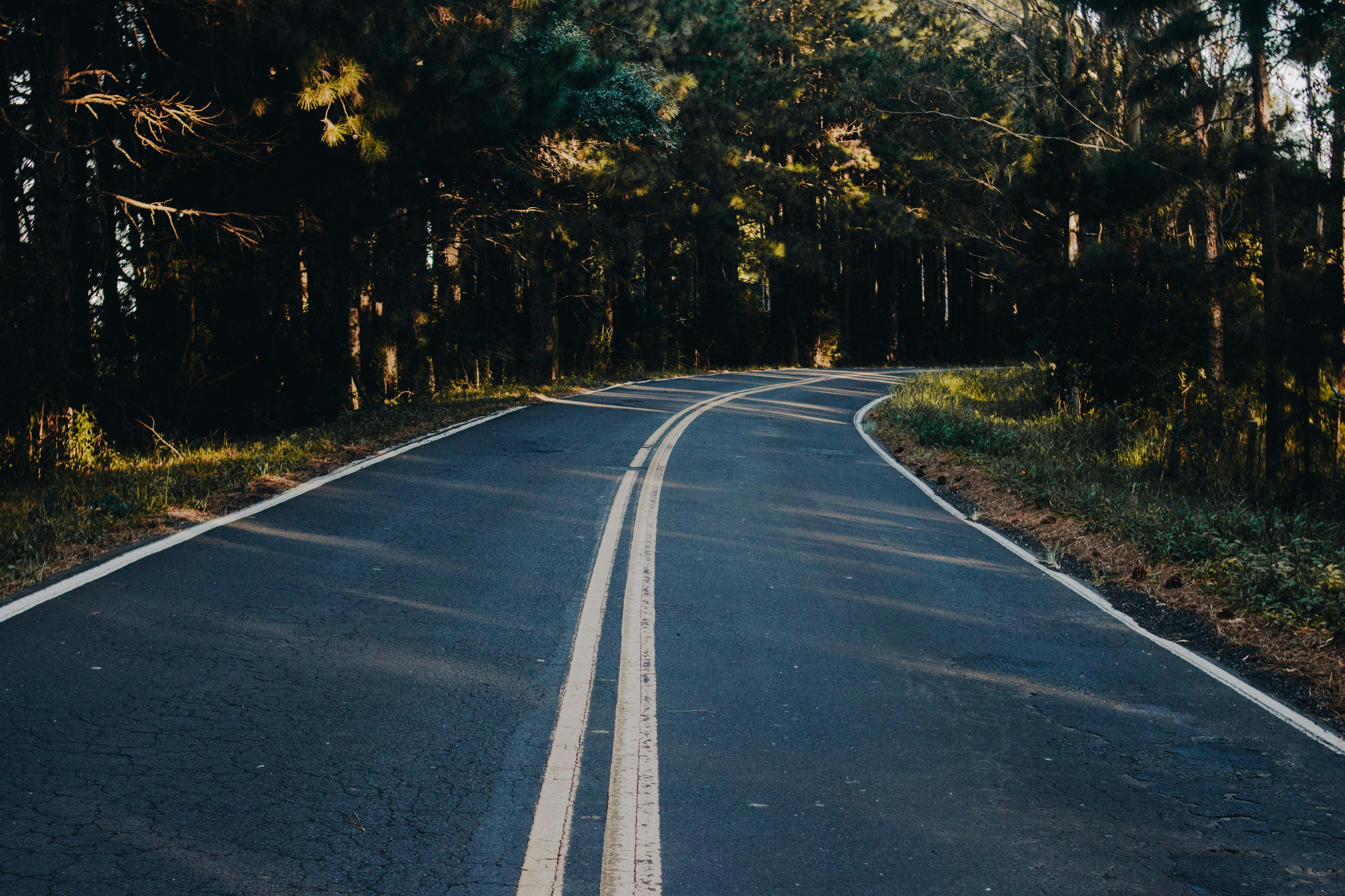 Photography of Asphalt Road Near Trees