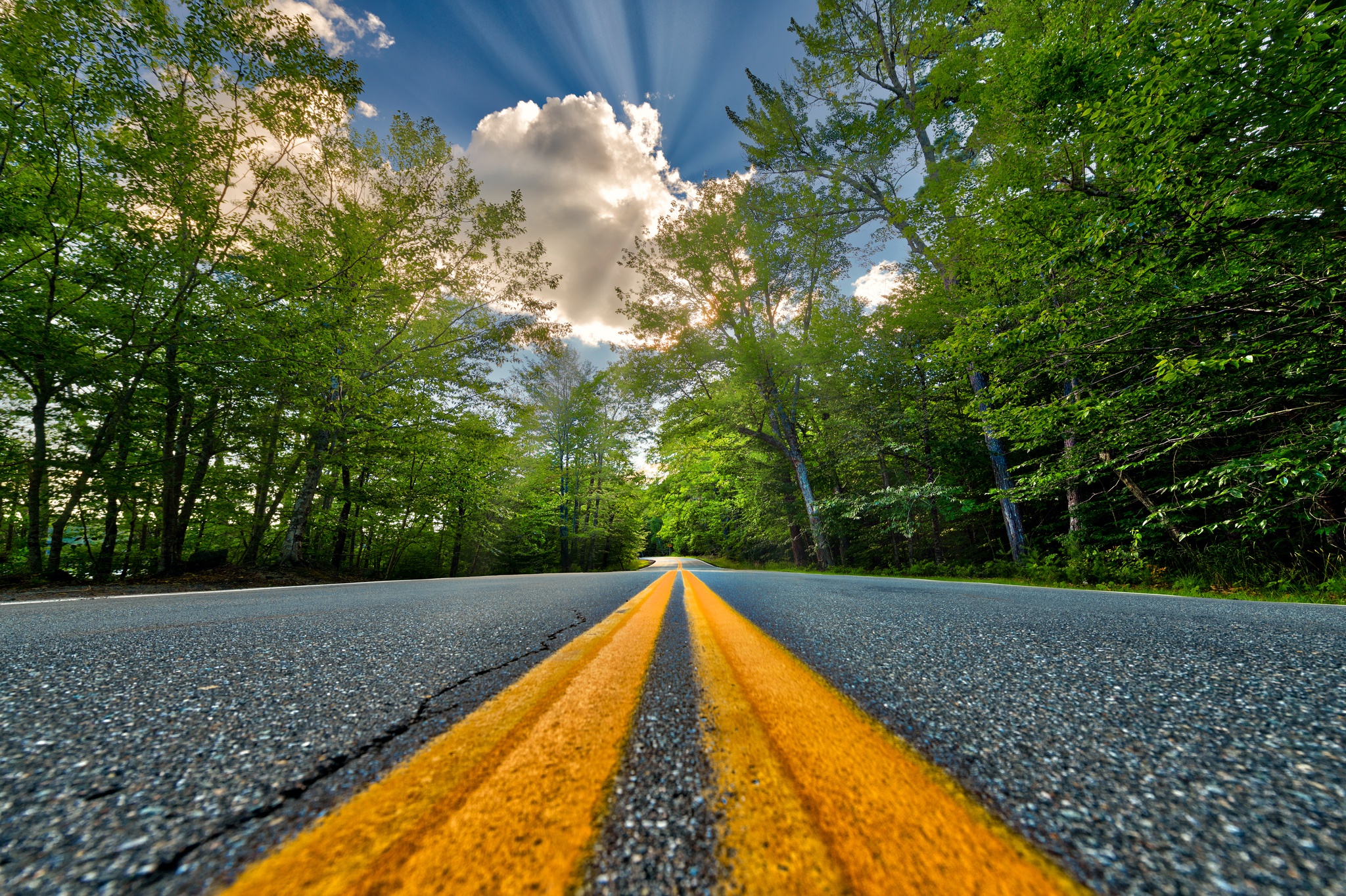 Wallpaper road, summer, asphalt