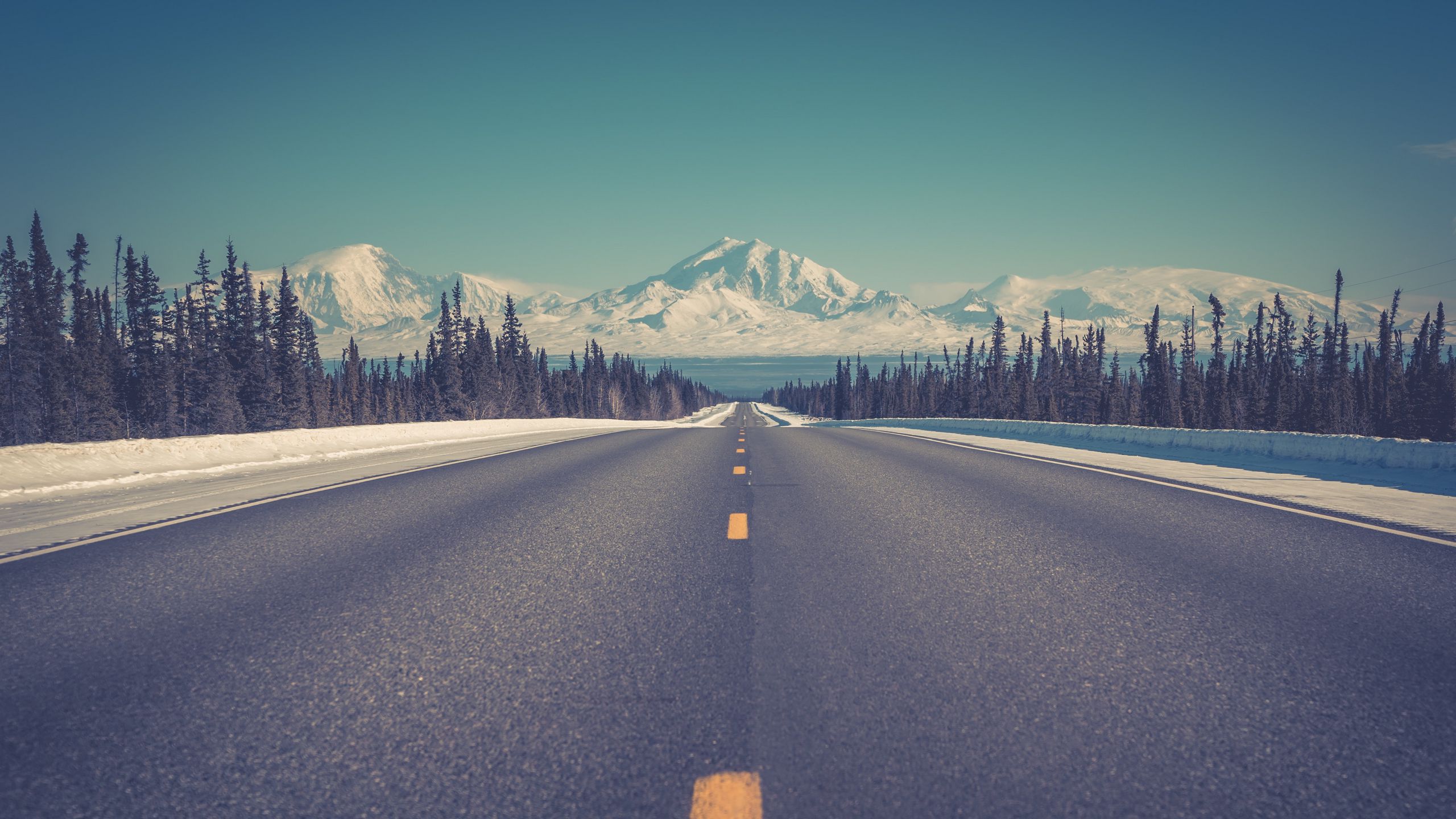 Download wallpaper 2560x1440 road