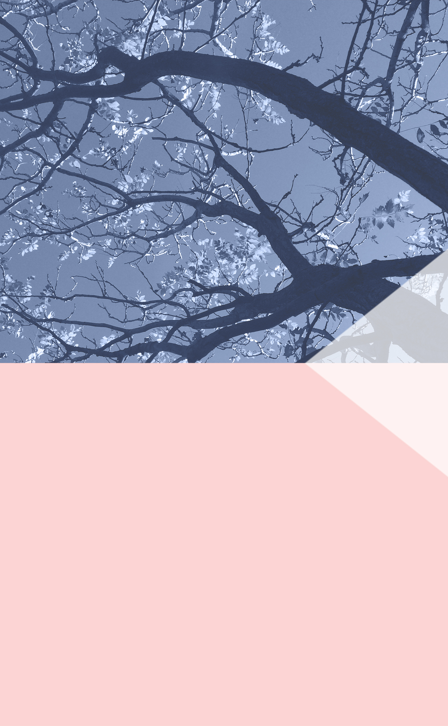 Wallpaper Wednesdays 18. Pantone Color