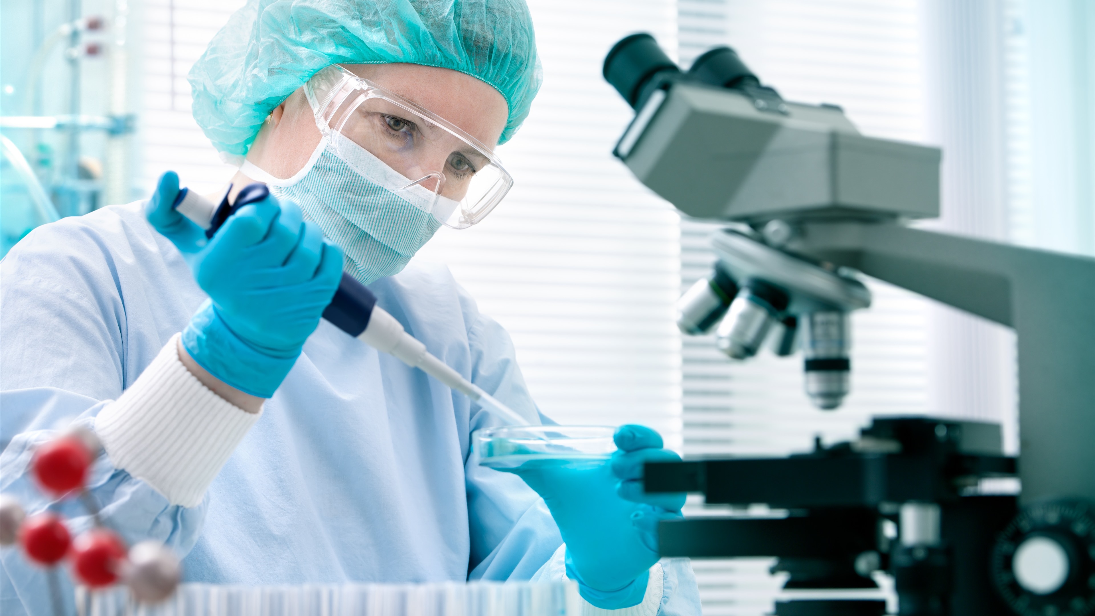 Wallpaper Laboratory professionals