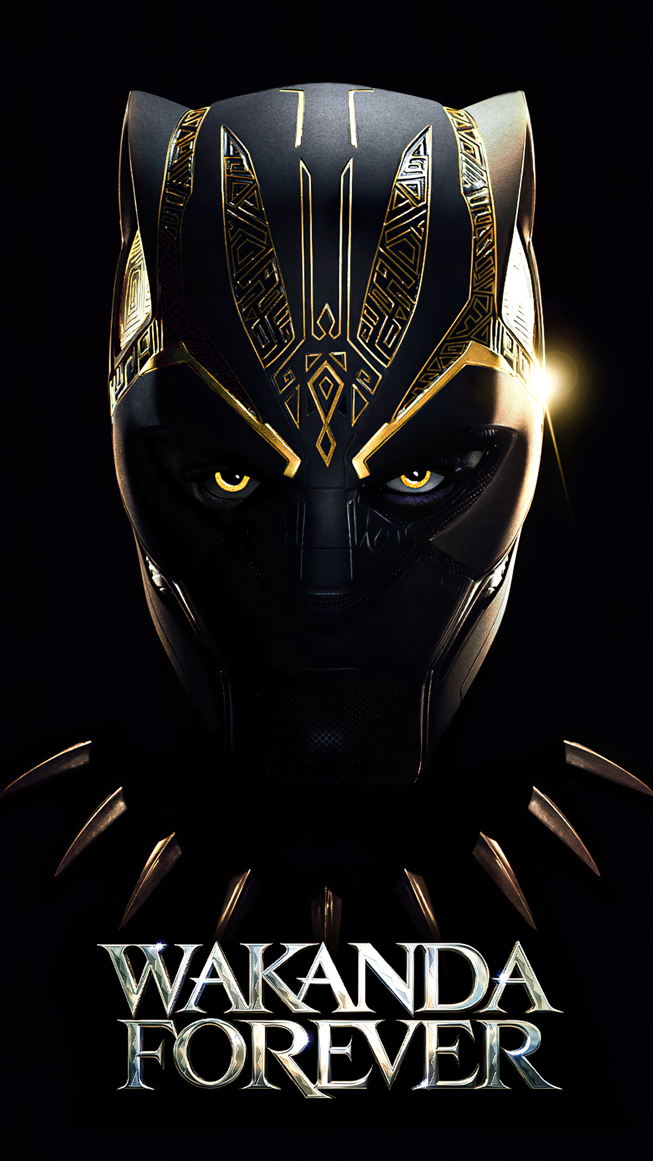 Black Panther: Wakanda Forever Movie 4K