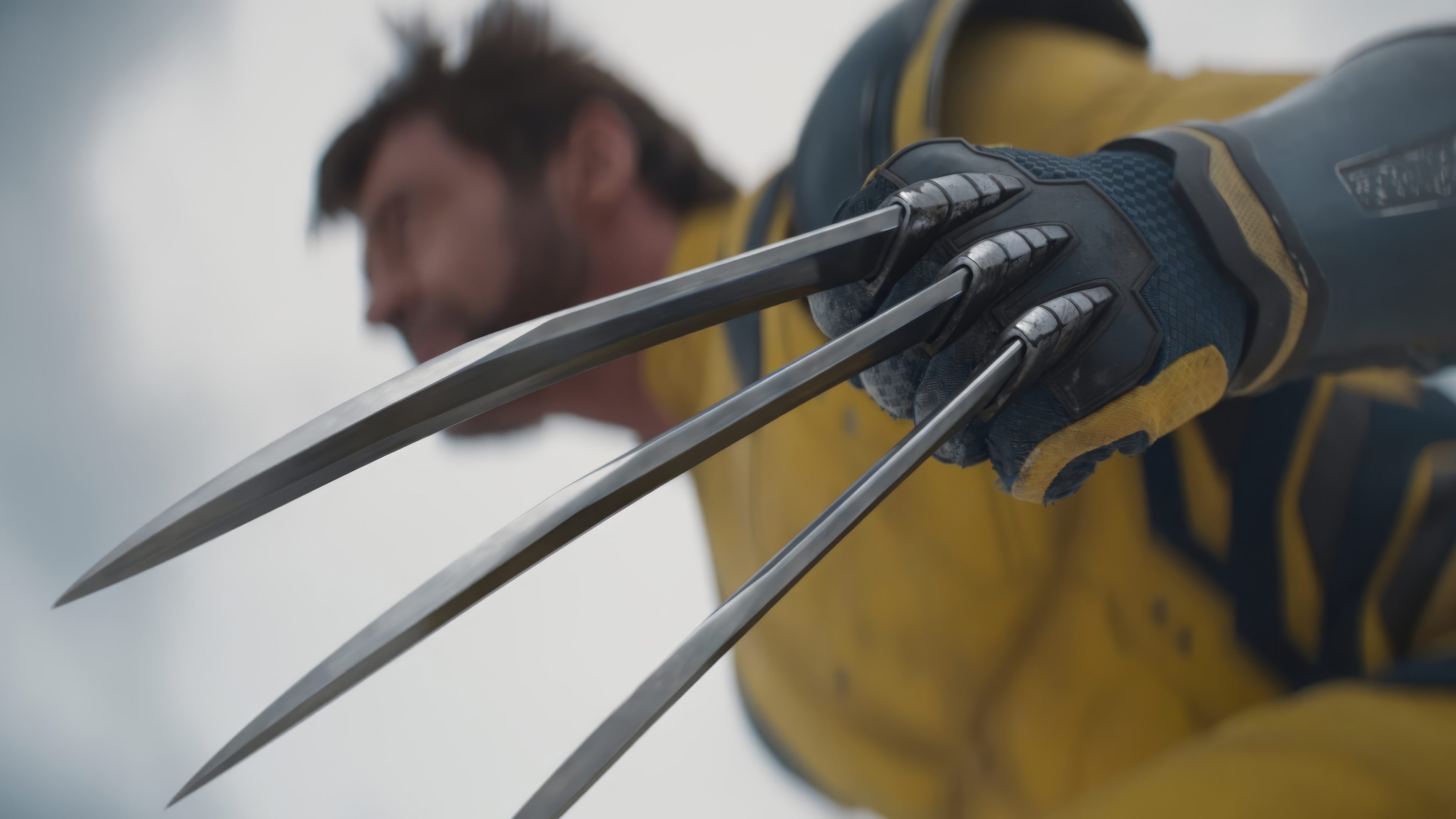 Wolverine Wallpaper 4K HD
