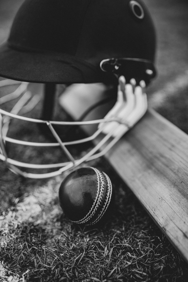 Cricket Image. Free Photo, PNG