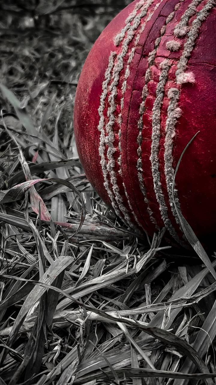 Cricket Wallpaper APK for Android Download