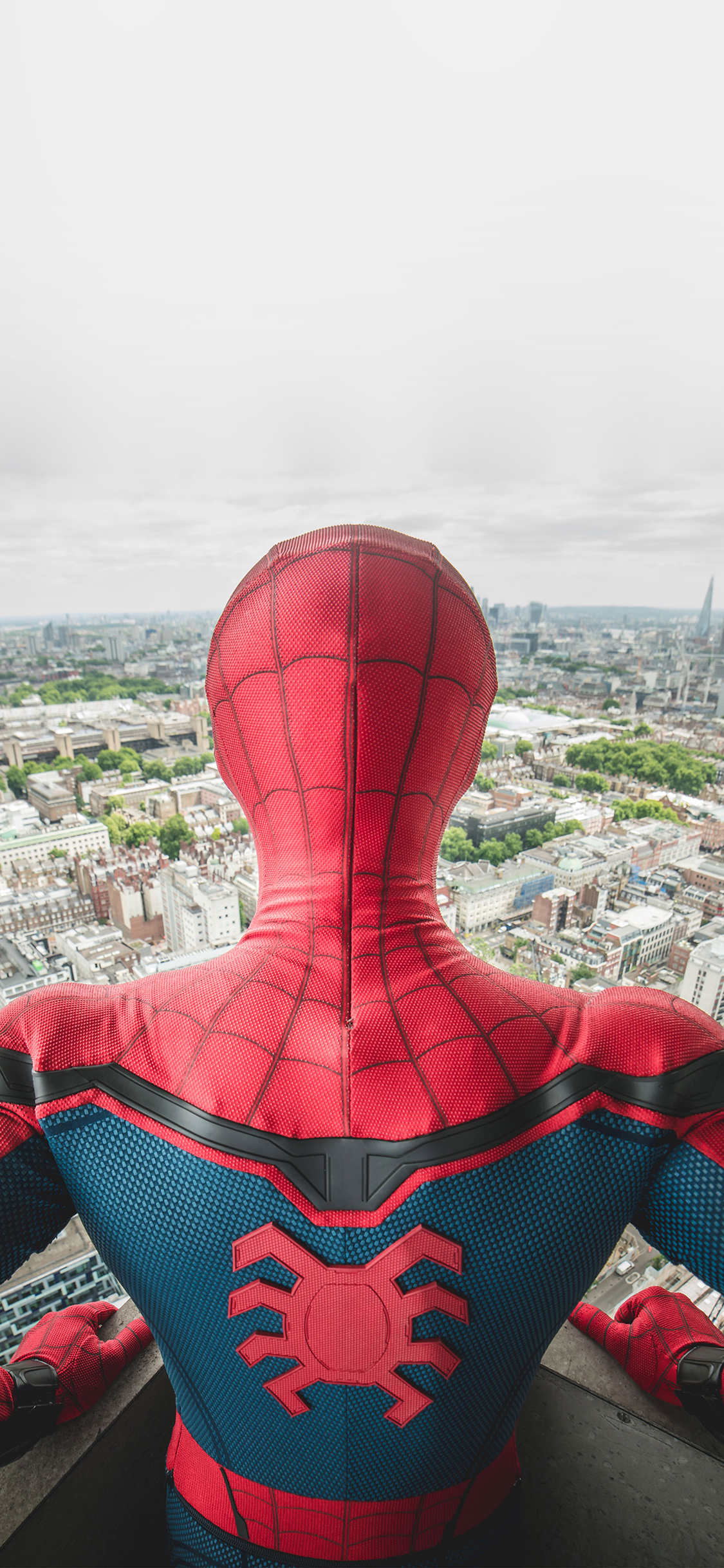 Spiderman Hero Marvel Illustration