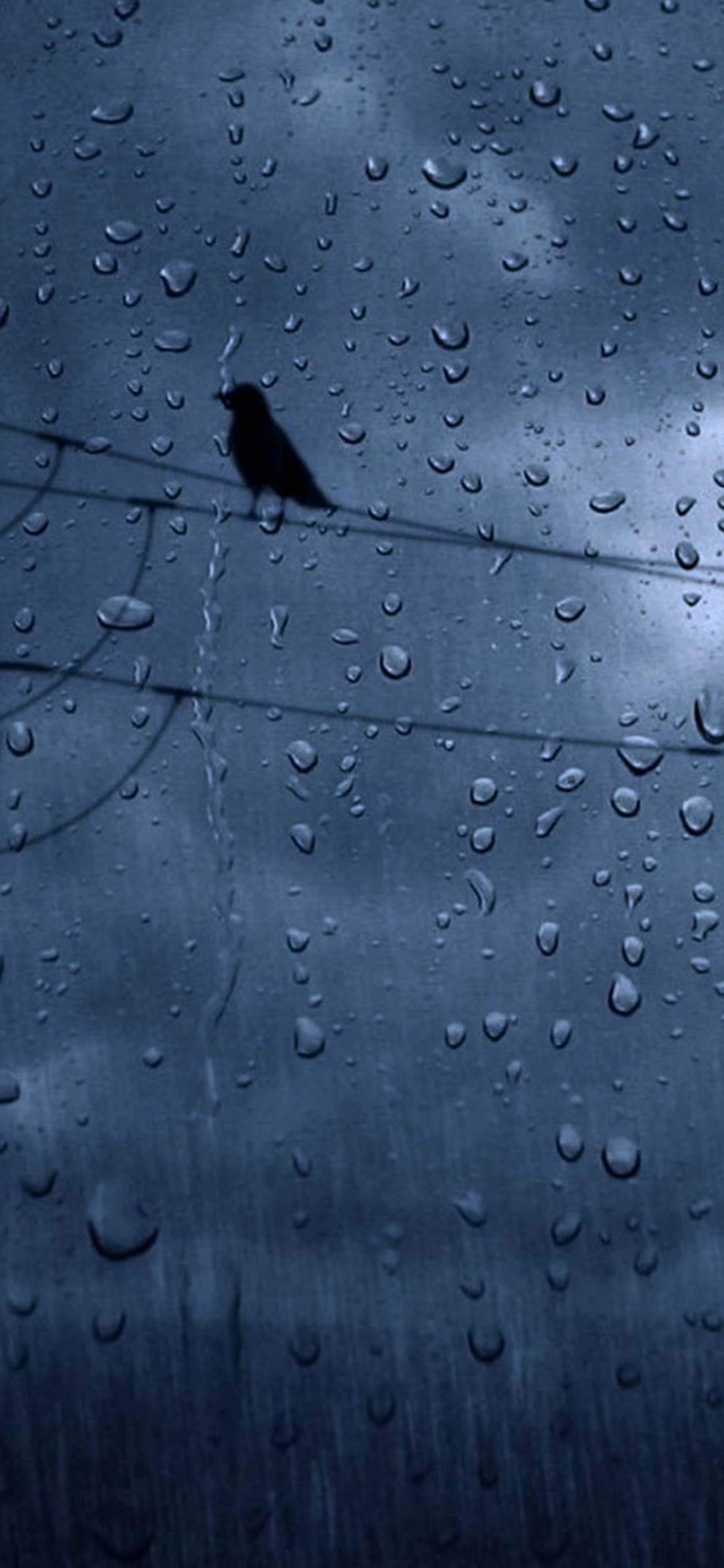 Rain Wallpaper
