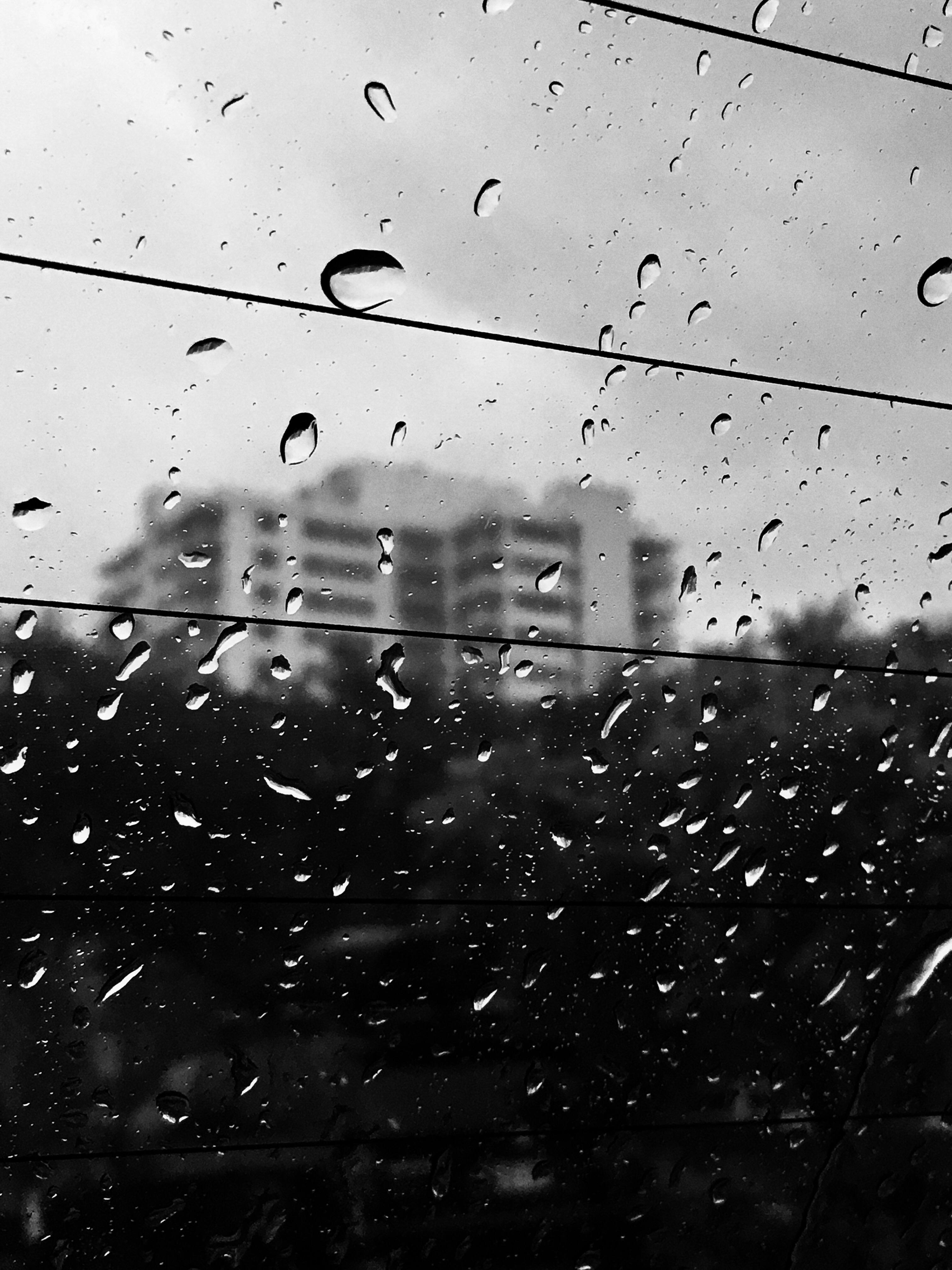 A rainy day in the sunshine state 2017