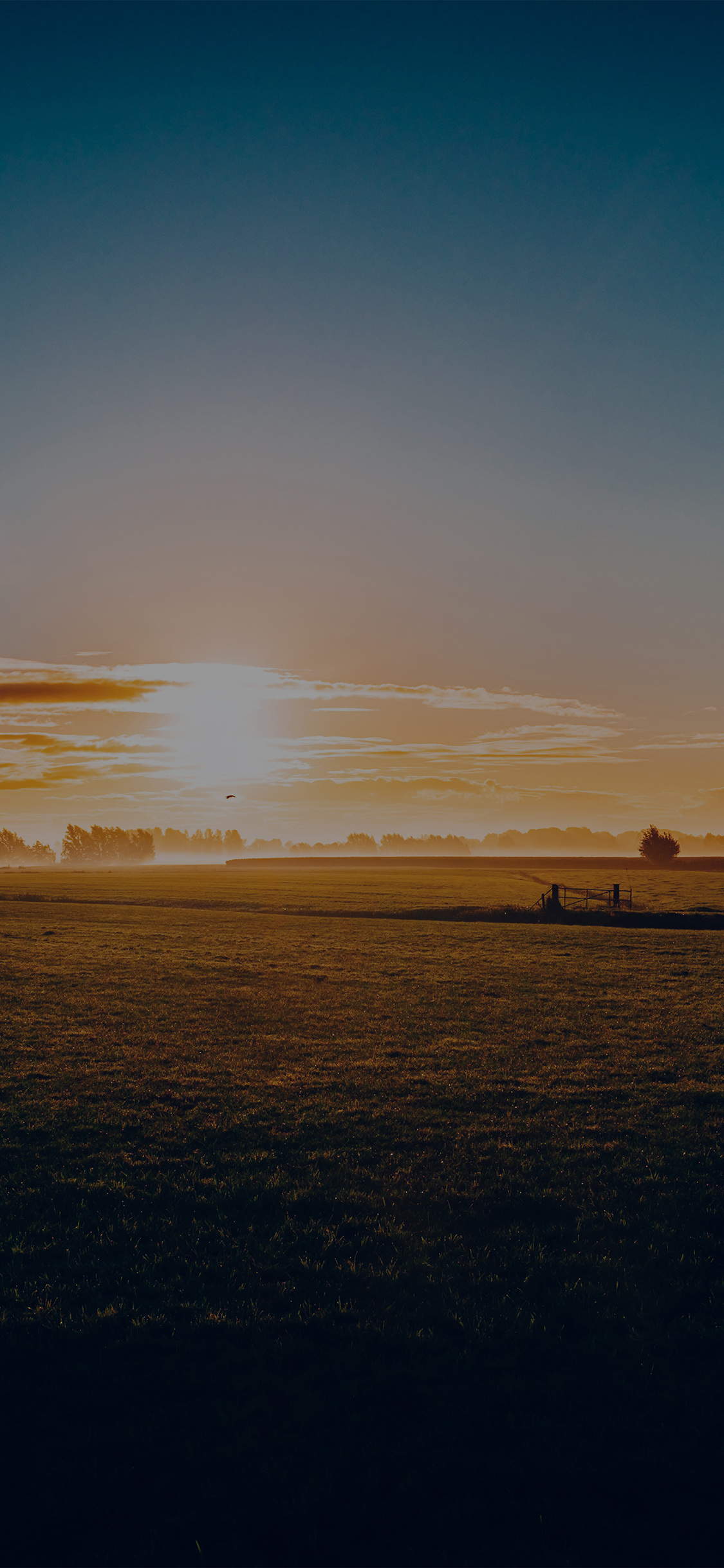Sunny Morning Farm Peace Nature