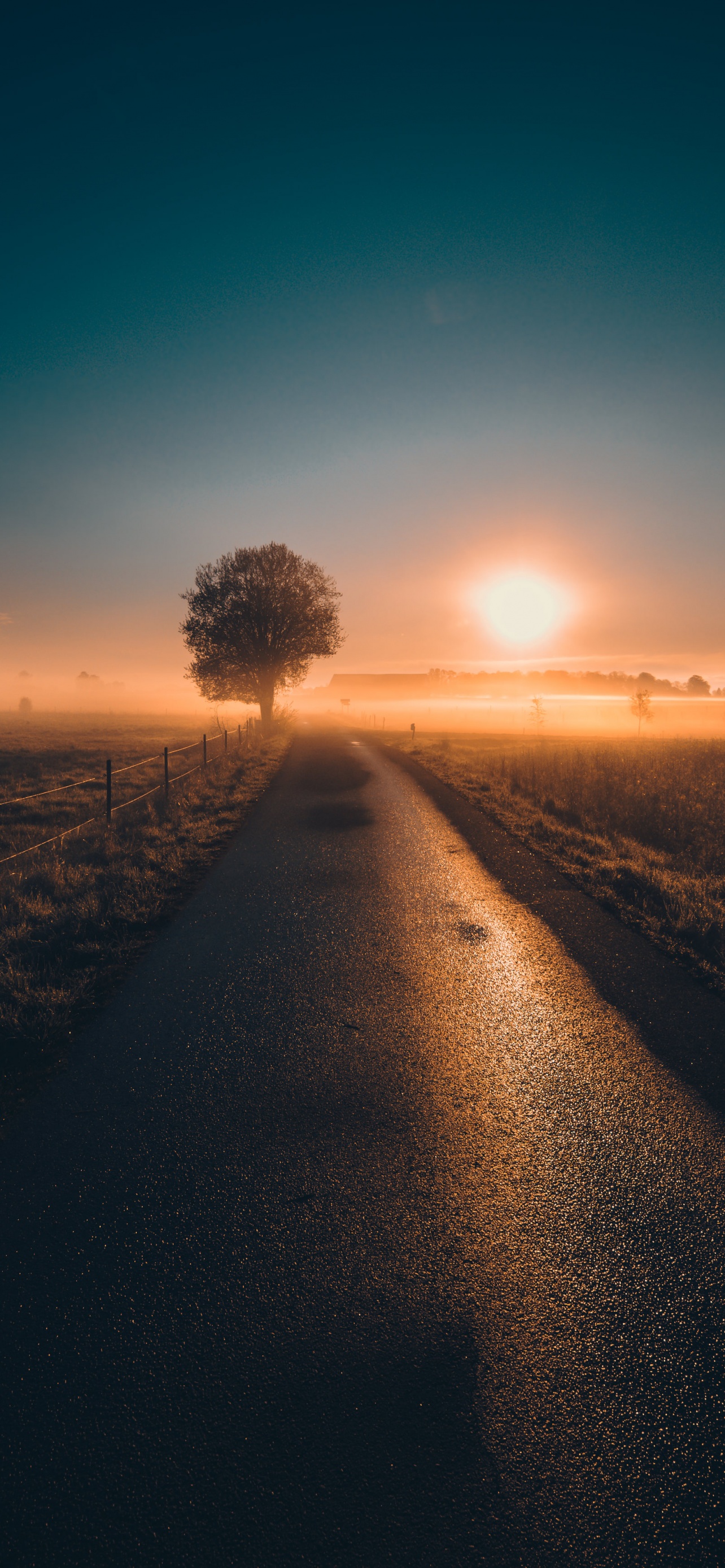 Sunrise Wallpaper 4K, Sweden, Landscape