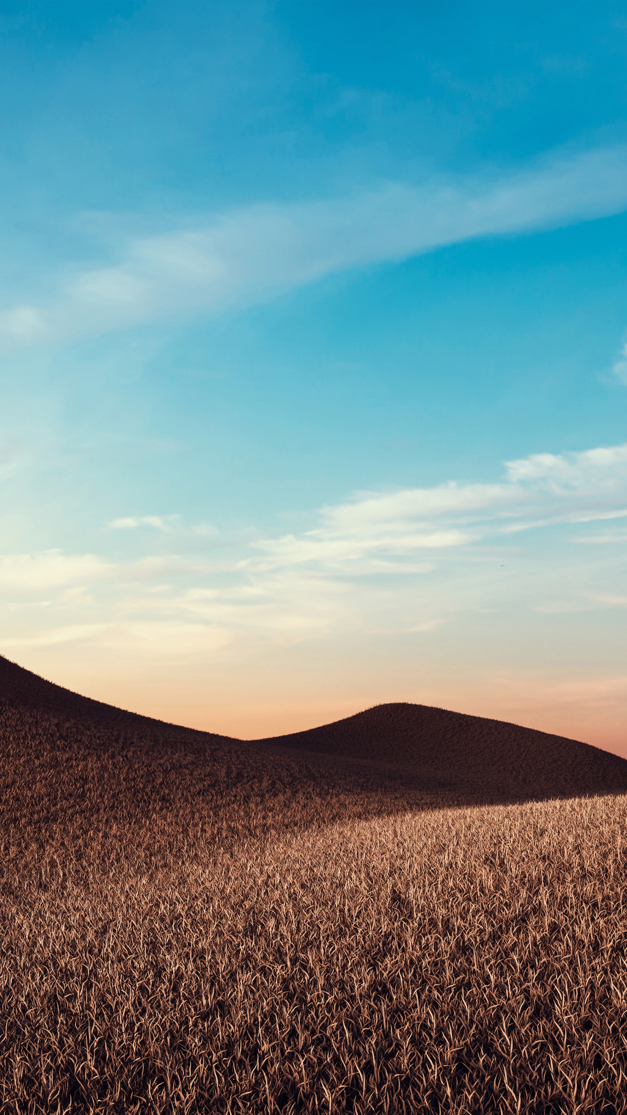 Wallpaper 4K, Sunny day, Summer, Landscape