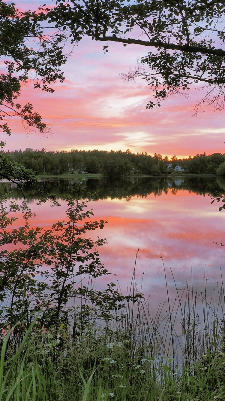 Morning nature scenery, lake, water