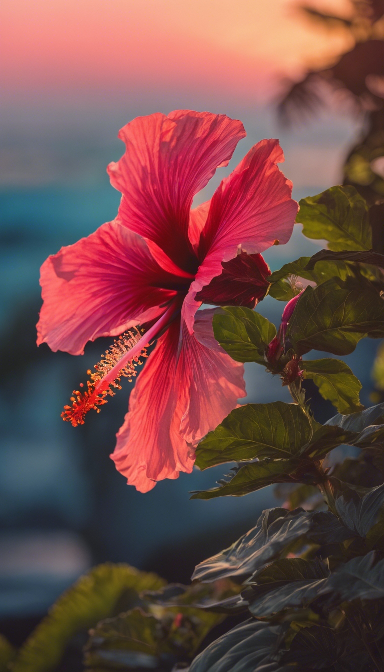 A lush, vibrant hibiscus flower, its