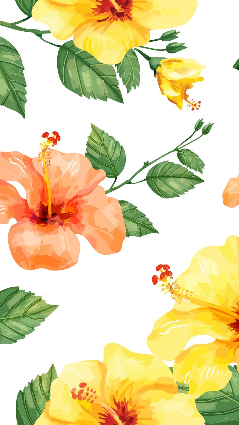 Hibiscus Wallpaper Image. Free Photo