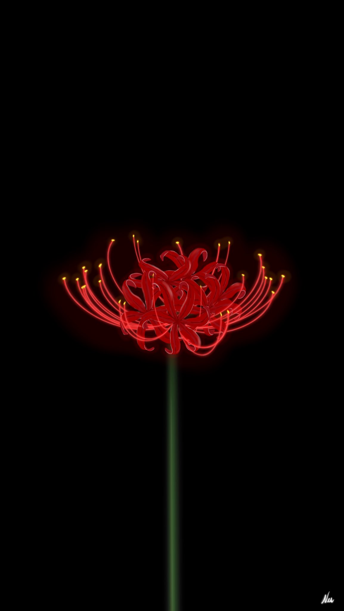 nes Spider Lily that I drew