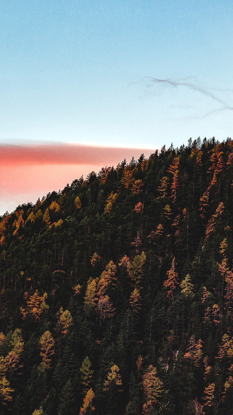 Fall Mountain Wood Autumn Nature