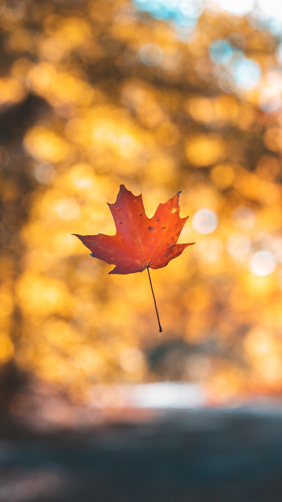Autumn Wallpaper