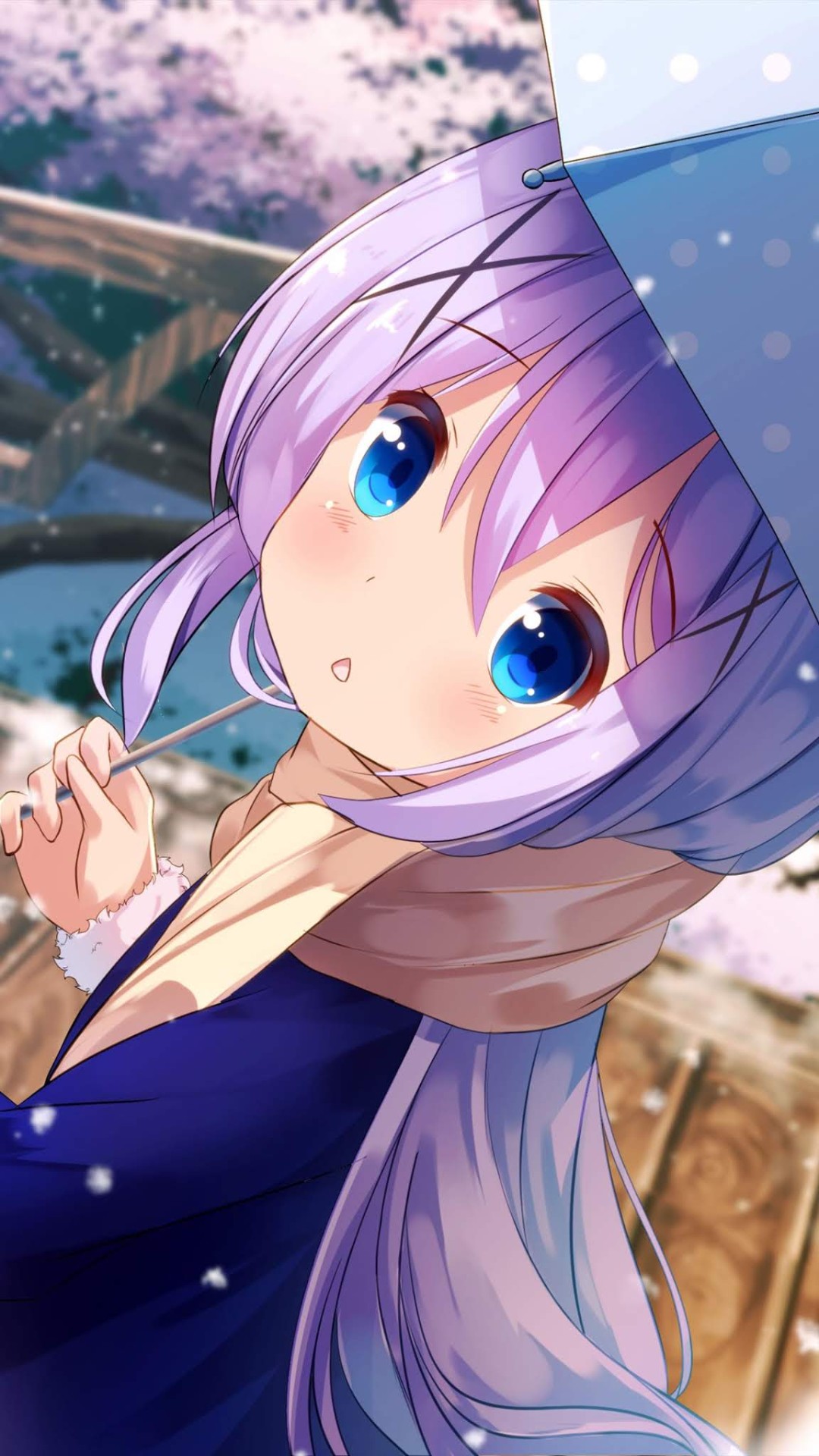 Chino Kafu Wallpaper