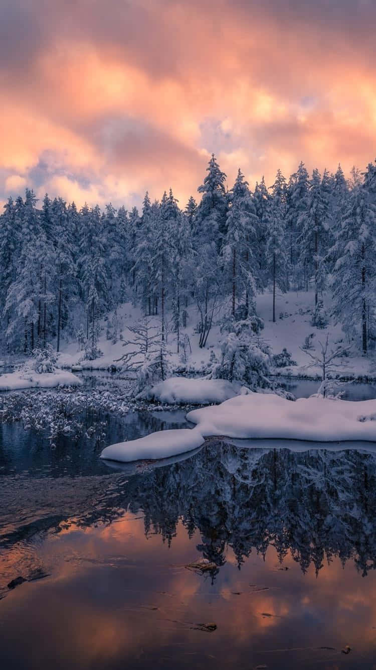Download A peaceful winter scene in Norway