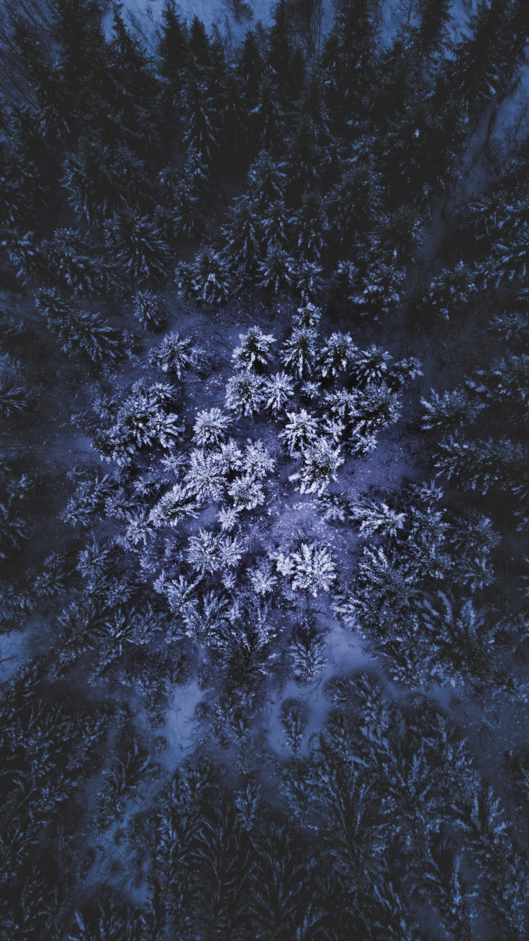wallpaper 750x1334 winter, aerial