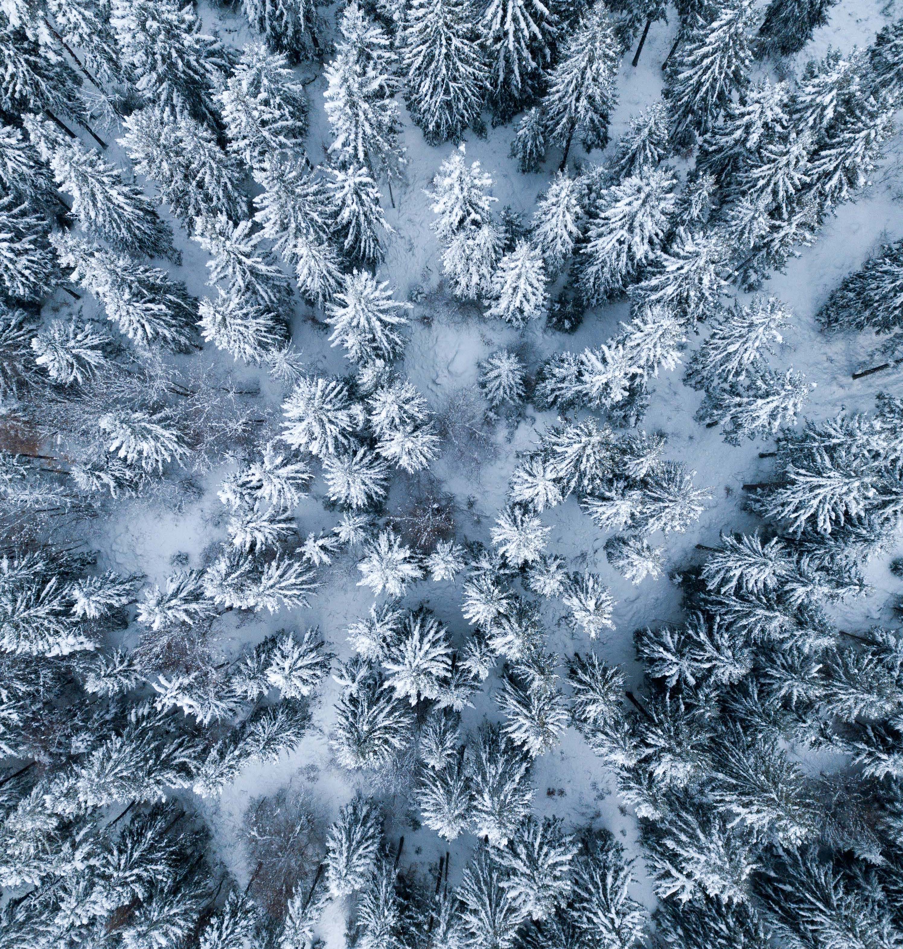 Strong operating profit for the year