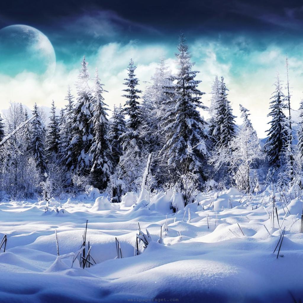 Free Winter Wallpaper for iPad