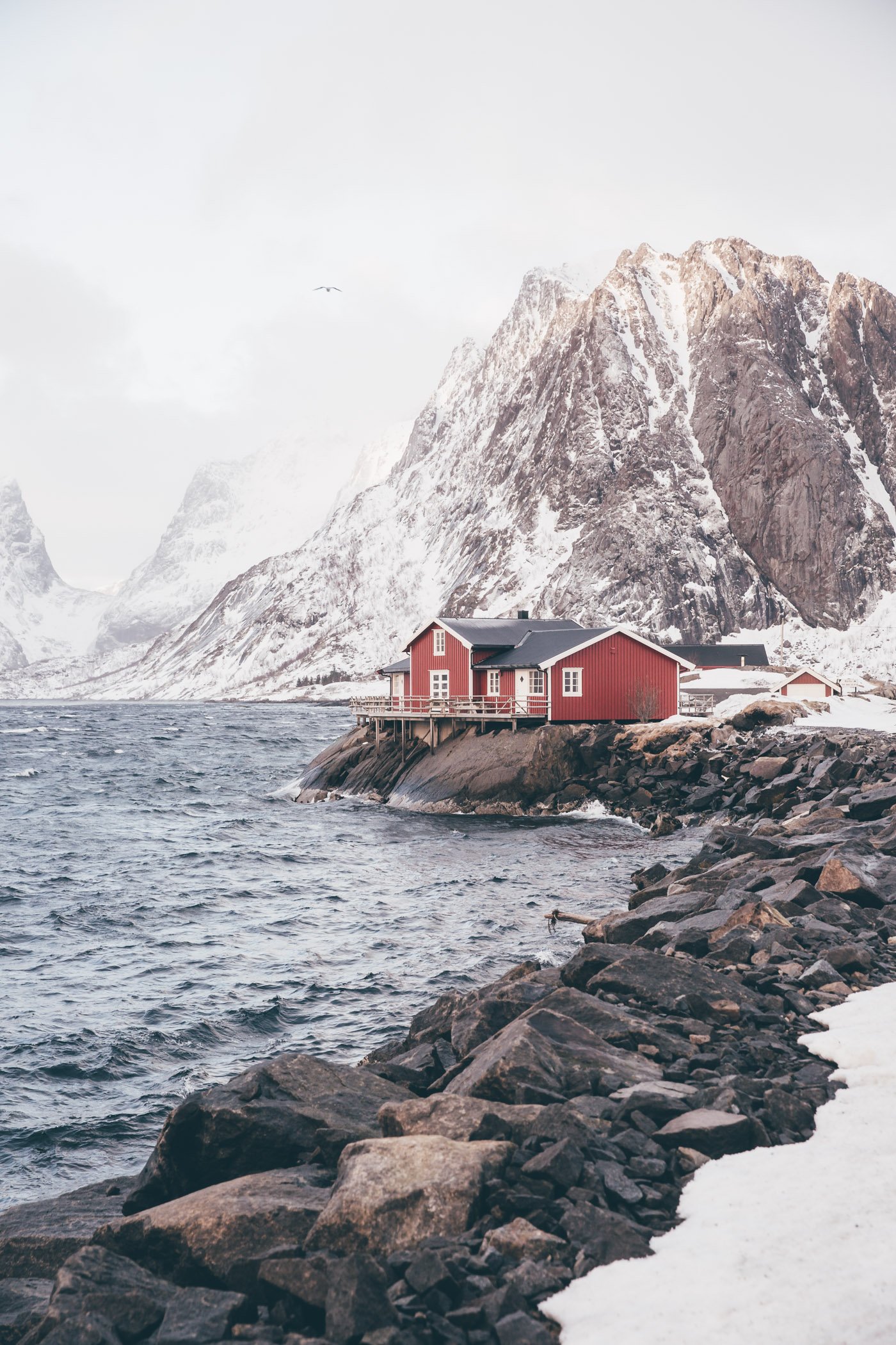 Lofoten in winter: An arctic adventure