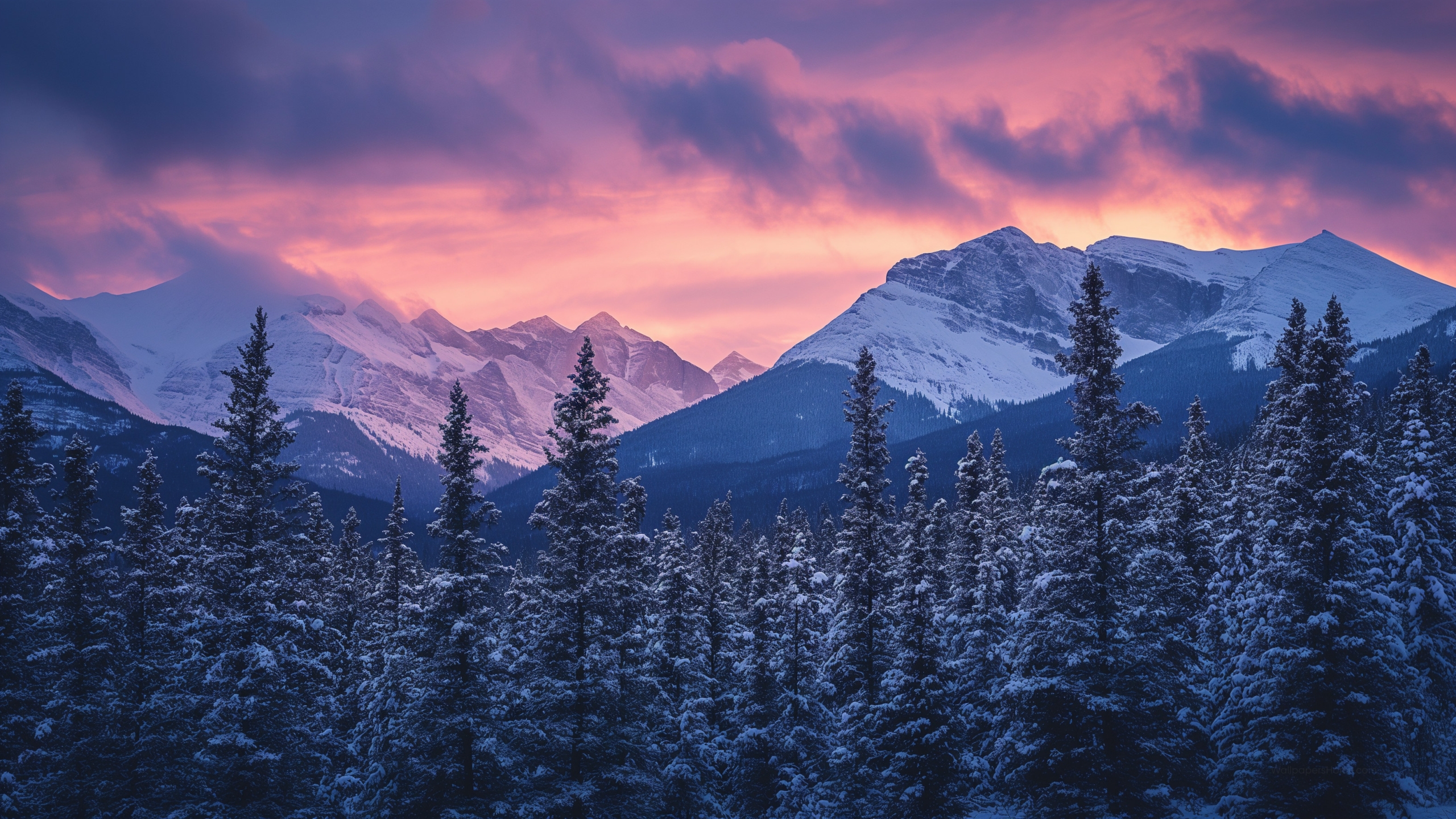Trees Wallpaper (Winter, Mountains)