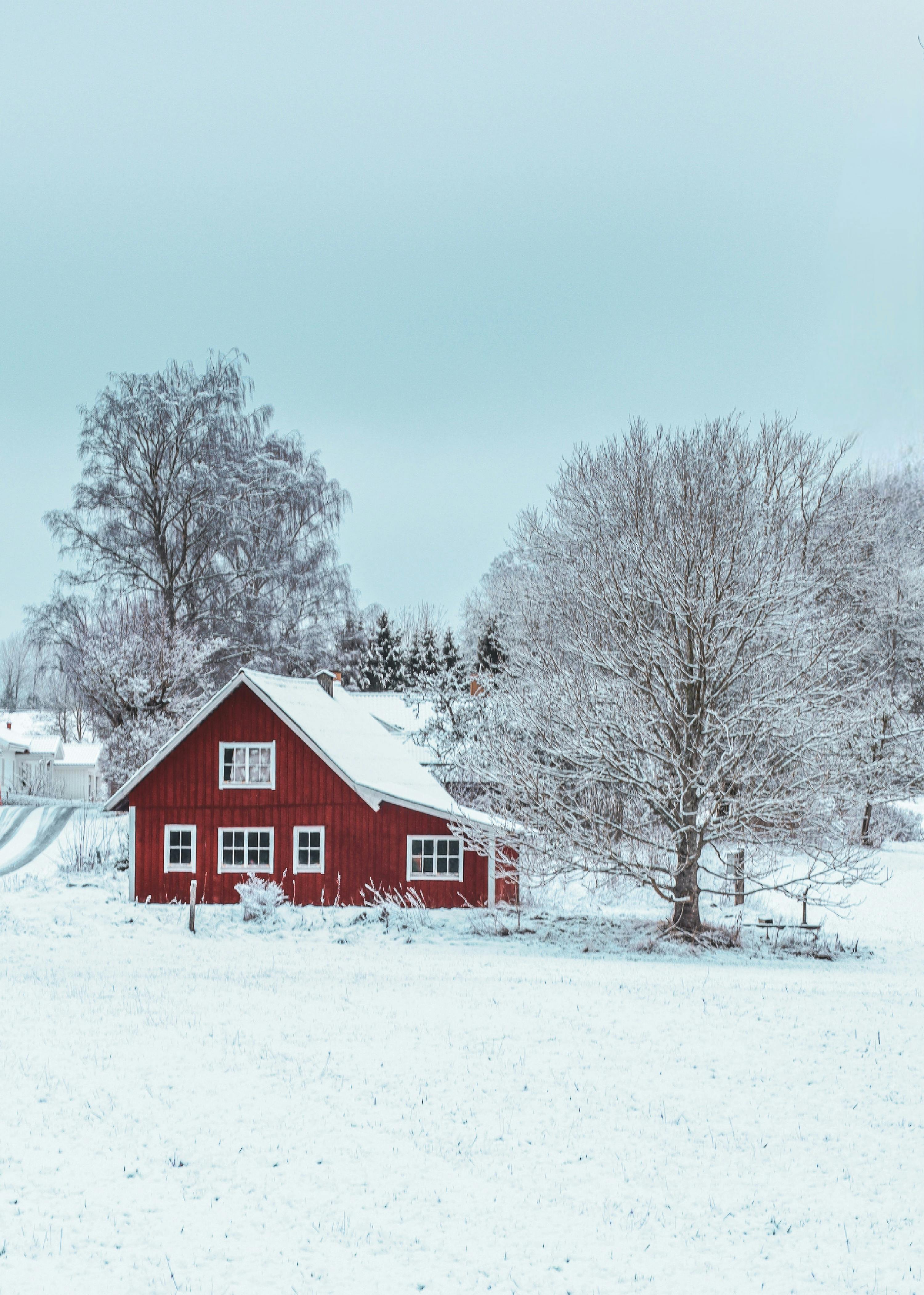 A Wooden House in the Middle of a Snow