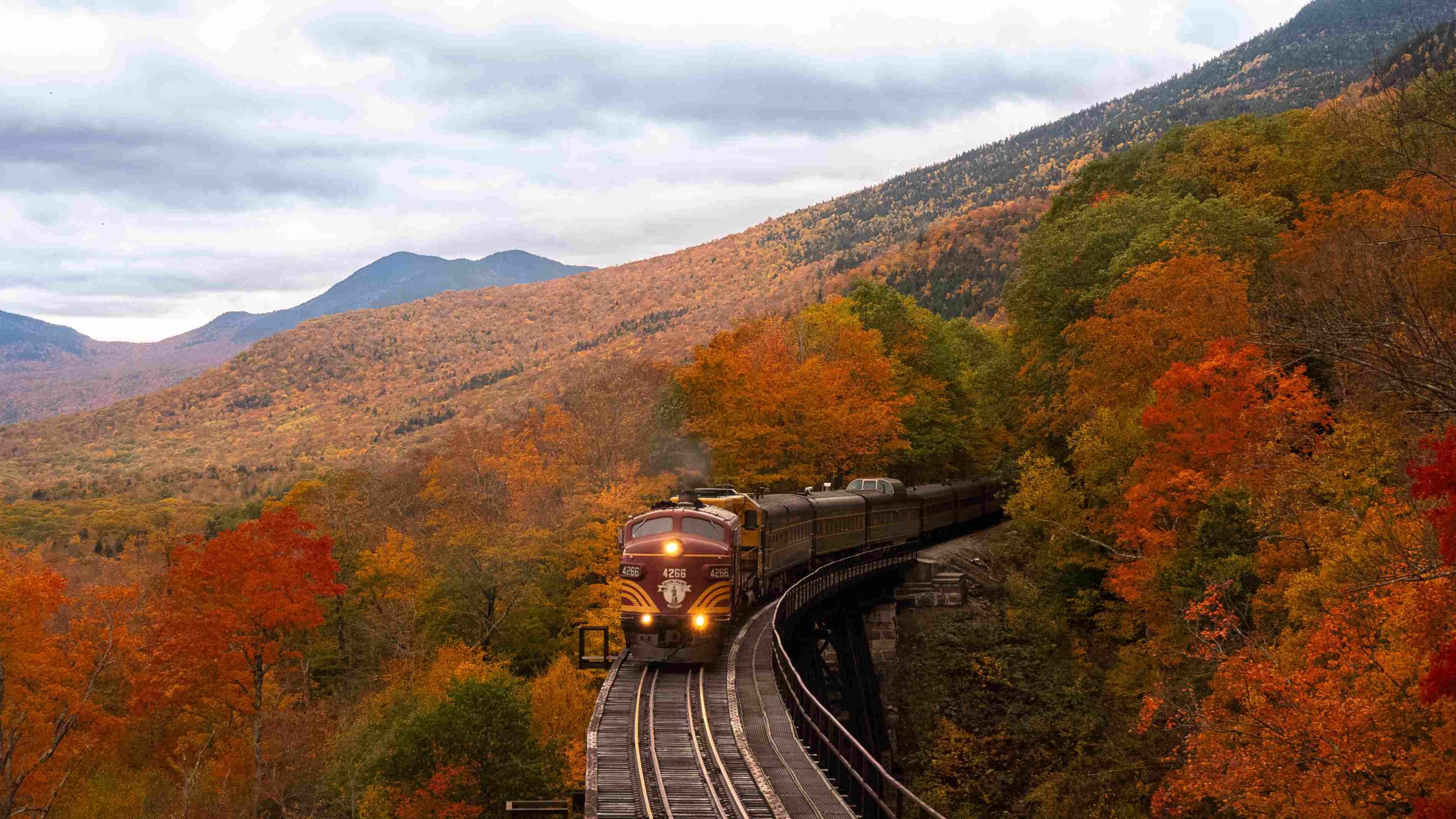 shooting film with my teenage son