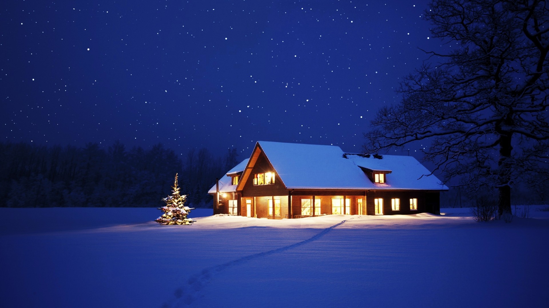 Desktop wallpaper: Christmas Tree, Winter, Man Made, House, Snow, Tree 4K free download for PC. 754452