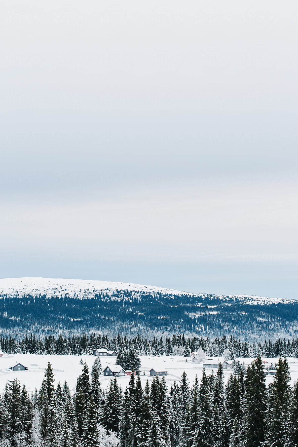 Nordic Winter In Norwegian