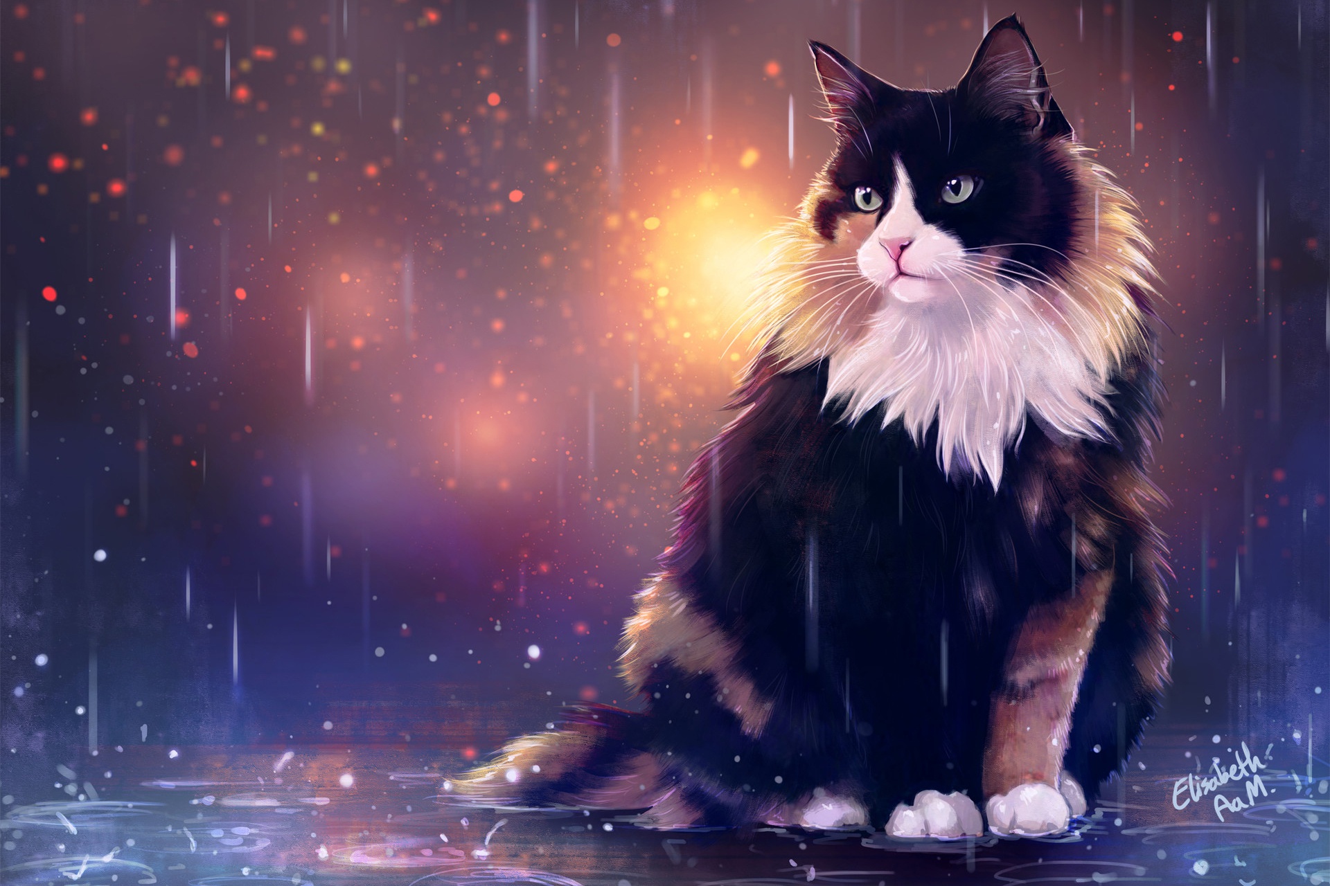 Download wallpaper Drops, Figure, Cat