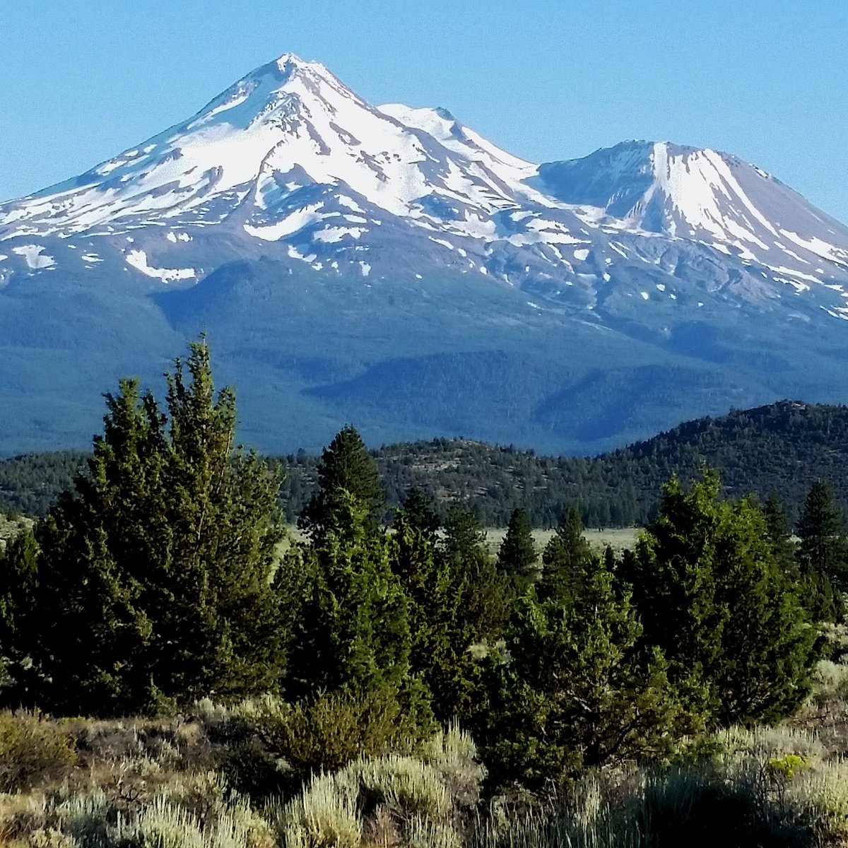 Mount Shasta You Need to Know