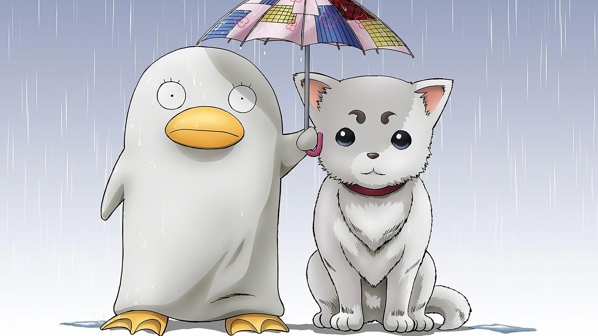 HD wallpaper: Gintama, Elizabeth, Sadaharu