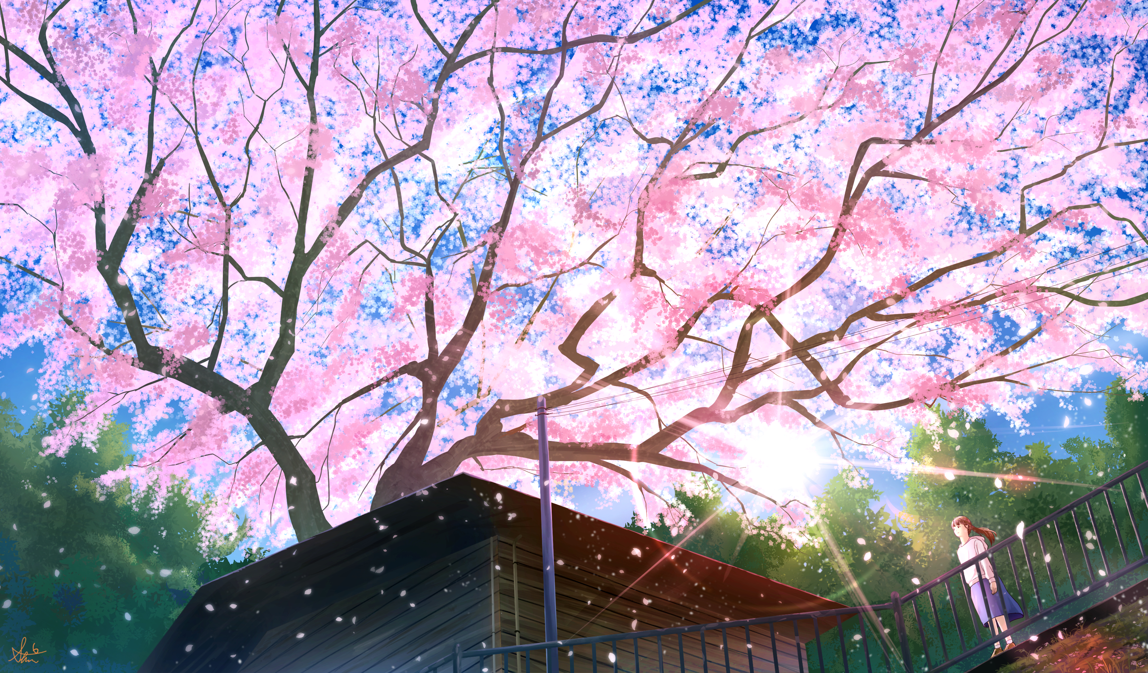 desktop wallpaper: Anime, Sakura, Tree