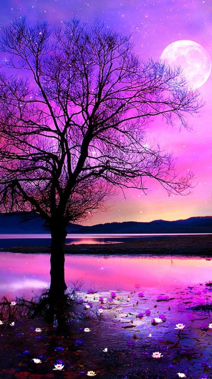 Nature. Wallpaper. iPhone. Android