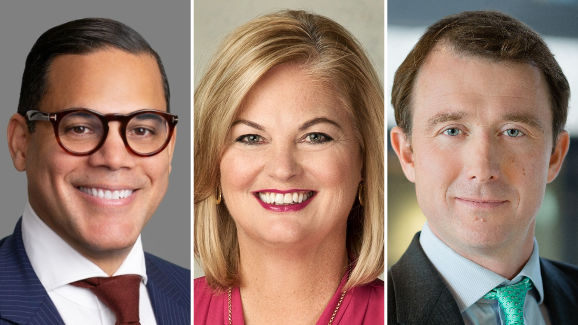 The Government Consultants