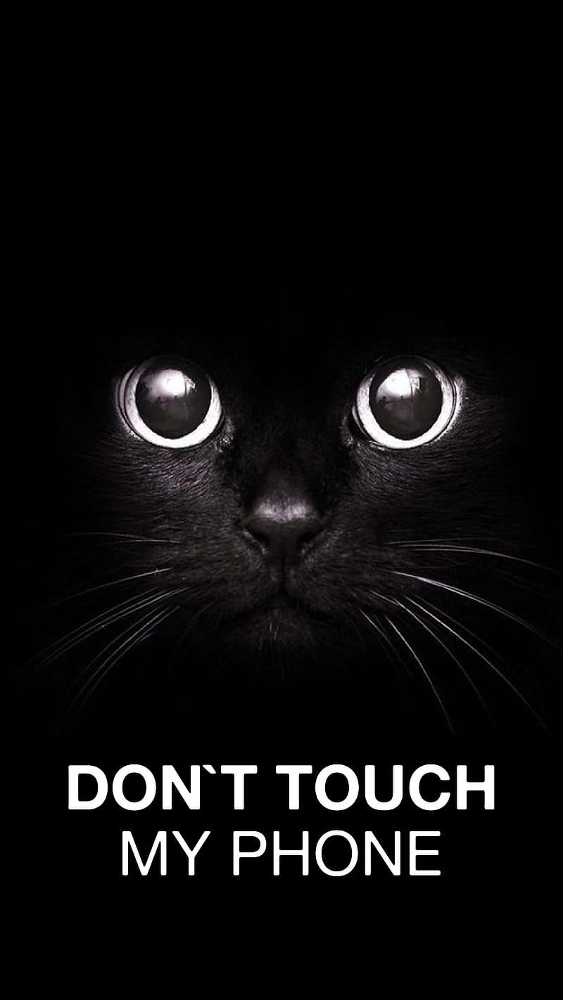Black Cat, Dont Touch My Phone