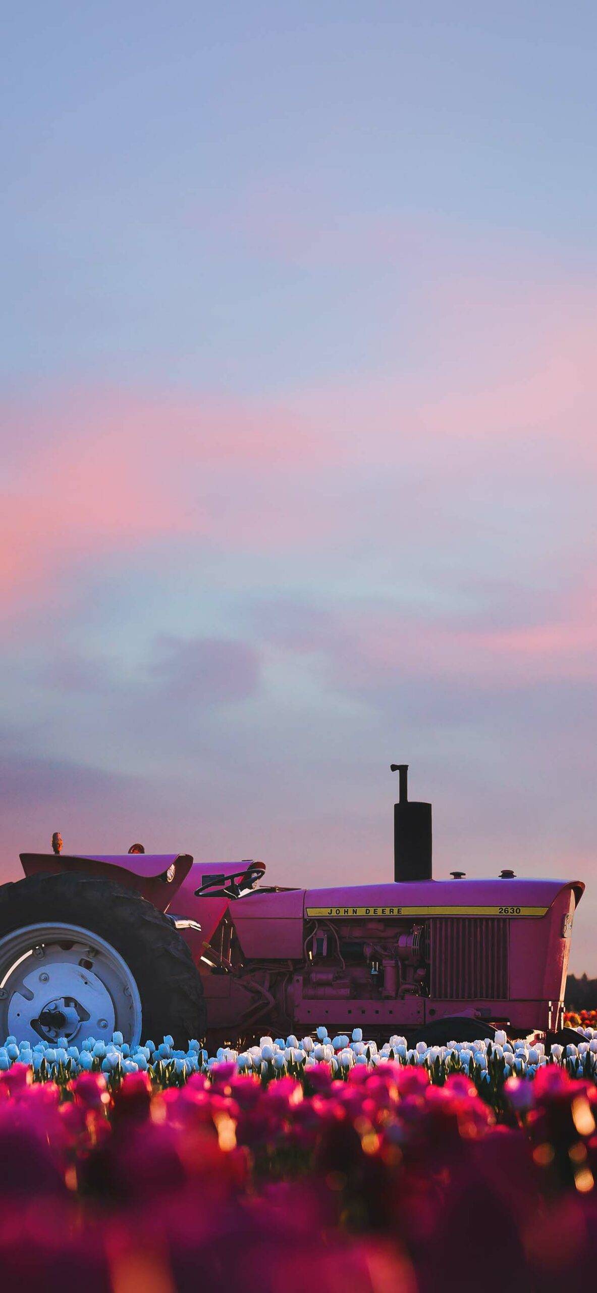 Spring Wallpaper for iPhone