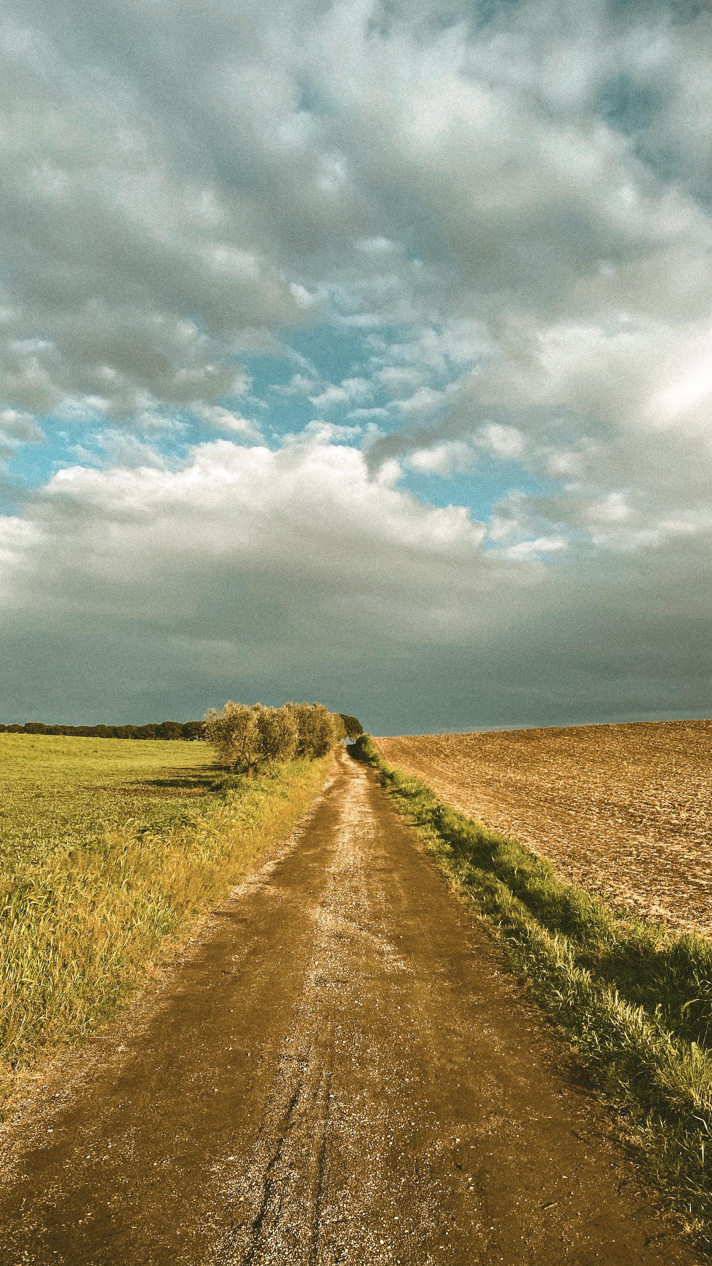 Shot with an IPhone 11