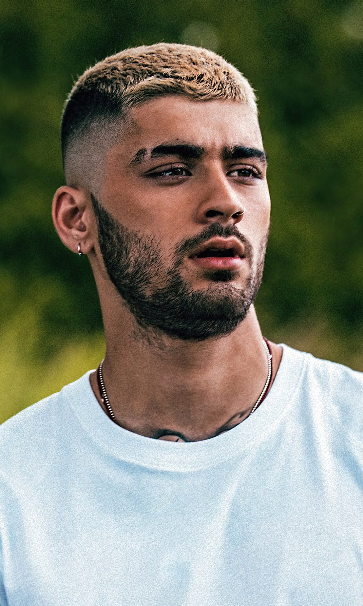 Download English Singer Music Zayn
