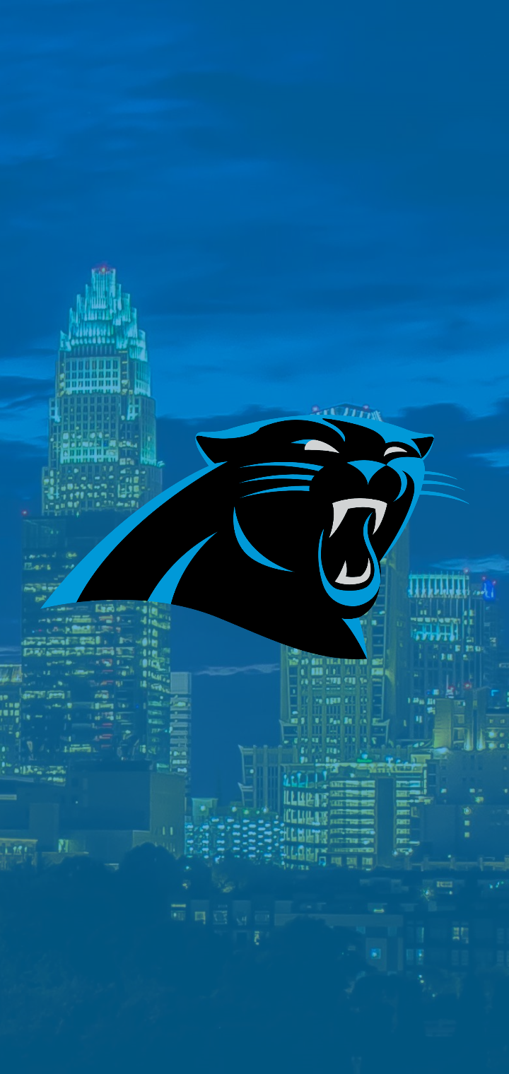 Carolina Panthers fan