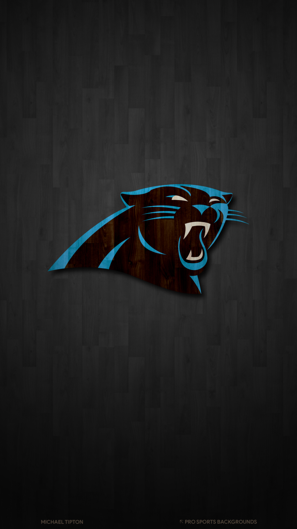 2024 Carolina Panthers wallpaper